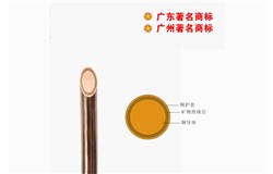 BTTZ-750V礦物質電纜